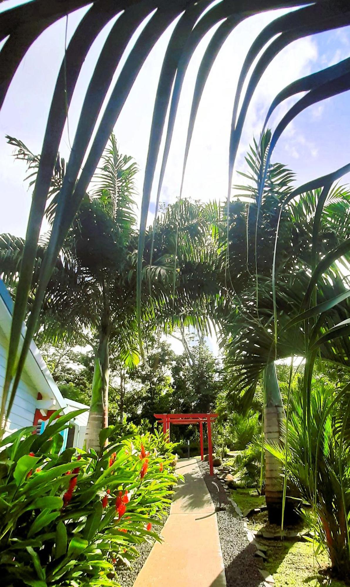 Caraibes Cottages Corail Piscine Privee A 900M De La Plage De Grande Anse เดเอ ภายนอก รูปภาพ