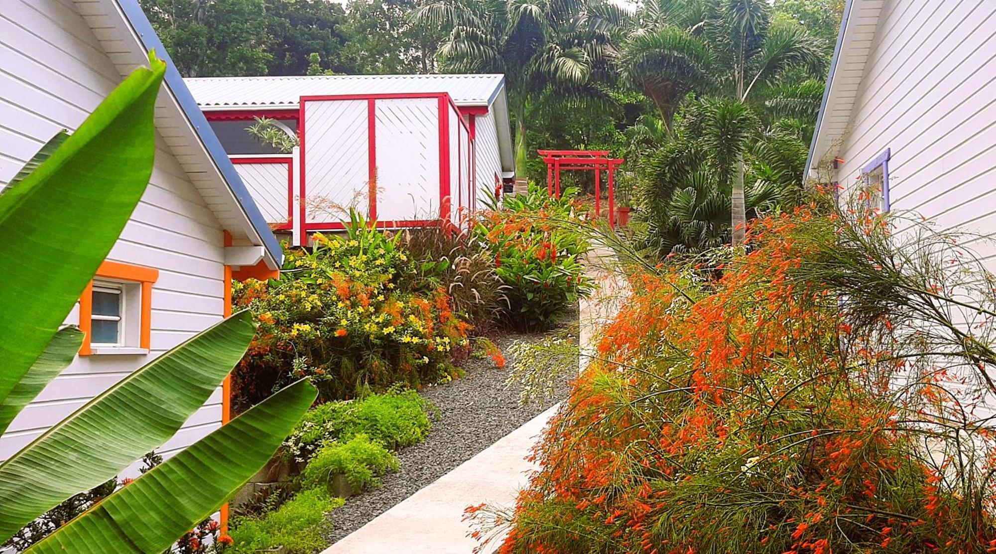 Caraibes Cottages Corail Piscine Privee A 900M De La Plage De Grande Anse เดเอ ภายนอก รูปภาพ