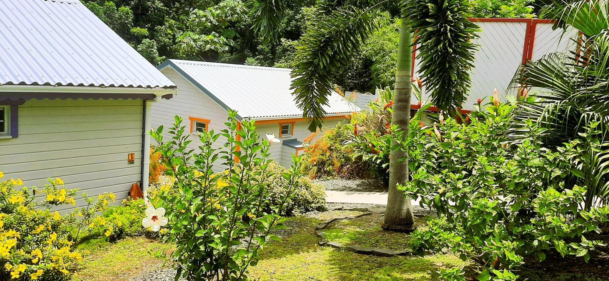 Caraibes Cottages Corail Piscine Privee A 900M De La Plage De Grande Anse เดเอ ภายนอก รูปภาพ
