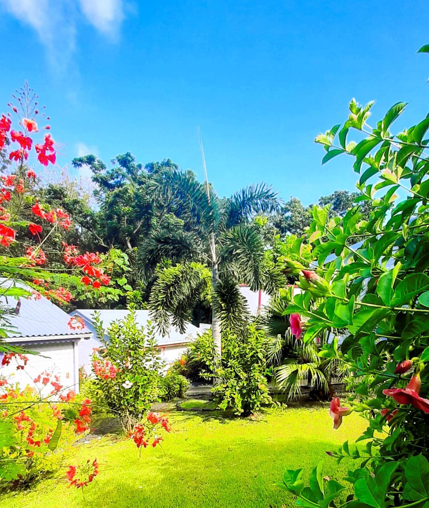 Caraibes Cottages Corail Piscine Privee A 900M De La Plage De Grande Anse เดเอ ภายนอก รูปภาพ