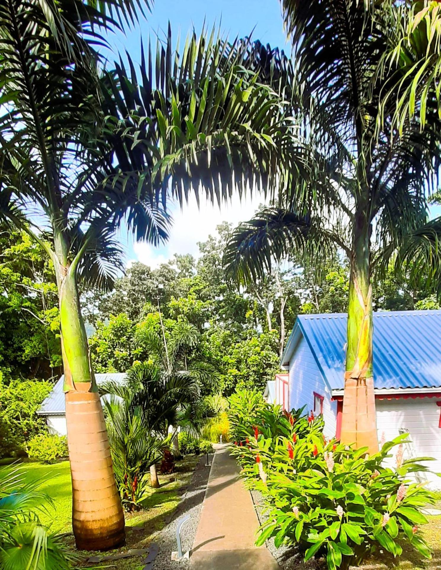 Caraibes Cottages Corail Piscine Privee A 900M De La Plage De Grande Anse เดเอ ภายนอก รูปภาพ